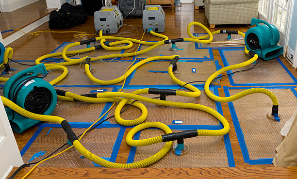 Professional Storm Water Damage Restoration technician working in Canton, MO